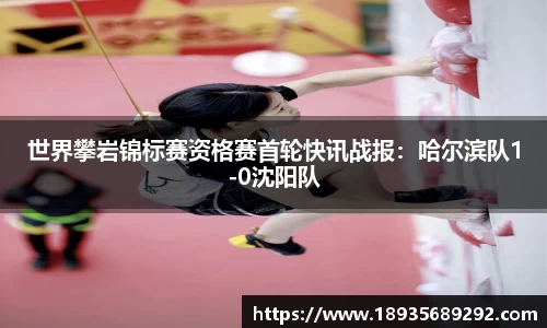 雨燕体育直播