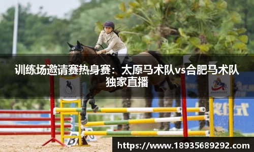 雨燕免费直播在线观看直播足球