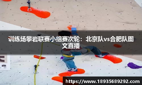 雨燕体育直播