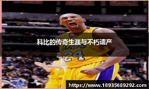 雨燕直播在线平台