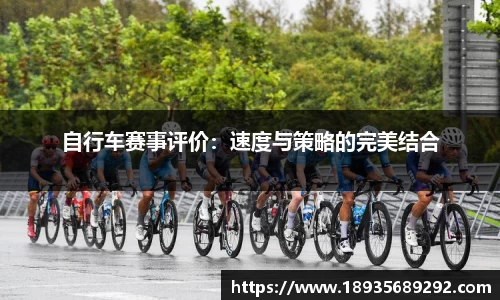 雨燕直播在线平台